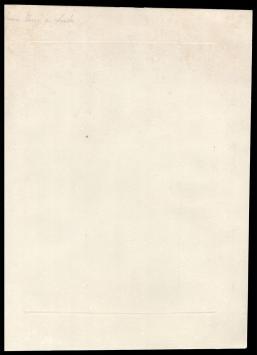 Natte straat (Antwerpen)