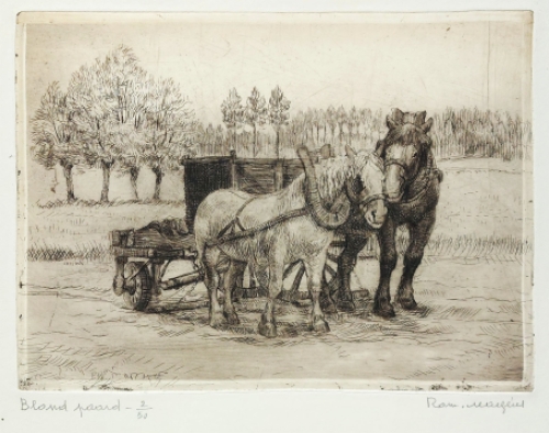 Ets van paarden van Malfliet kopen