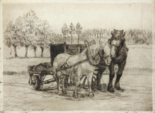 Romain Malfliet met een ets van twee paarden