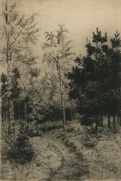 Genummerde en benoemde ets van Malfliet kopen