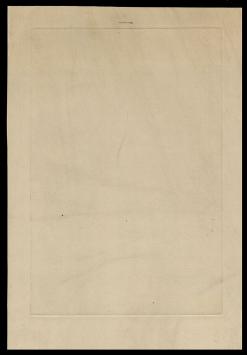 Boswegel (Belsele) 14/100