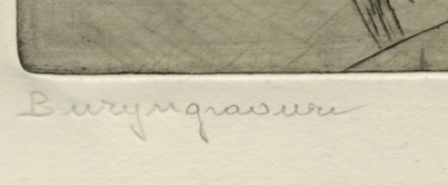 Belgische kunstenaar en tekenaar Romain Malfliet