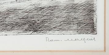 Cortewalle - Park - Beveren 10/100