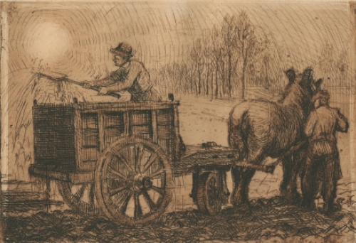 Ets van Malfliet kopen, aalkar