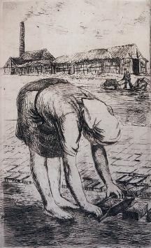 Ets van Malfliet kopen, de afdraagster