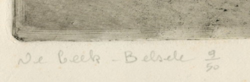 Belgische kunstenaar Romain Malfliet