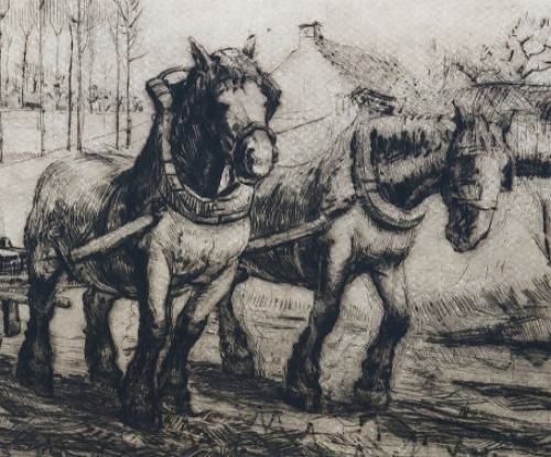 Belgische etser en tekenaar Romain Malfliet