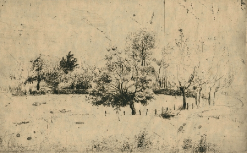 Droge naald ets van Malfliet kopen