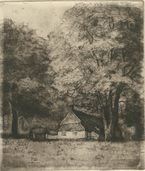 Ets van een Hoeve in Waasmunster van Malfliet kopen