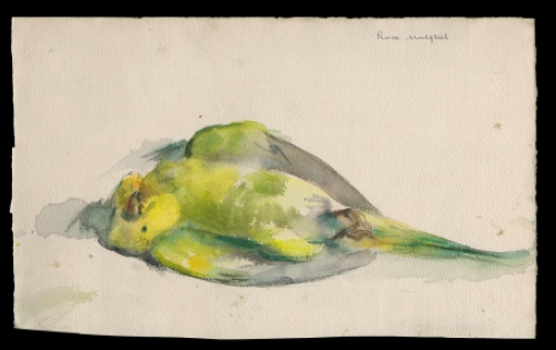 Aquarel kopen van de Belgische kunstenaar Romain Malfliet