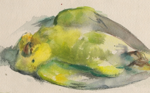 Aquarel van Malfliet kopen