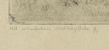 Het wonderbare veldkapelleke 3/50