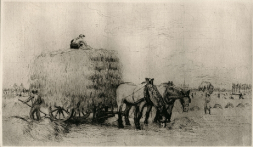 Een ets van R. Malfliet kopen, Hooitijd