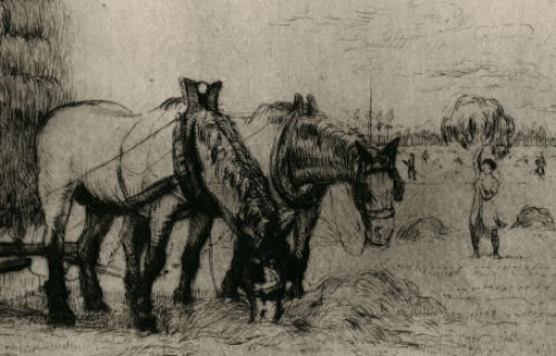 Hooitijd, een grote ets van M. Malfliet