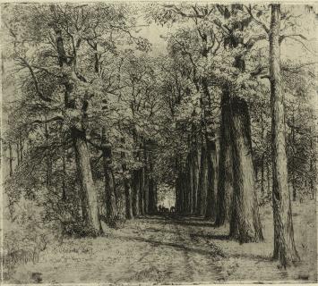 Grote genummerde ets van Malfliet kopen