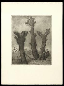 Grote gesigneerde ets van Romain Malfliet kopen