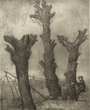 Kruisnetvisser, ets van Malfliet kopen