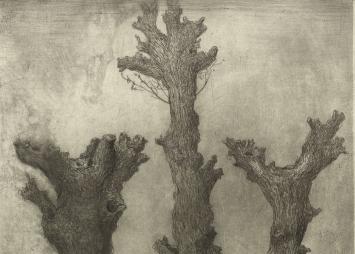 Belgische etser en tekenaar Romain Malfliet