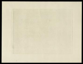 Lindebomen - Hamme St Anna 21/50