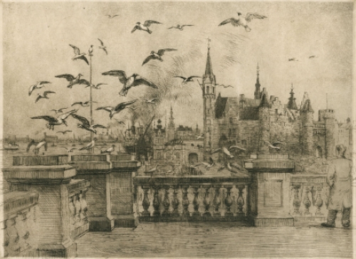 Antwerpen, Meeuwen aan het Steen