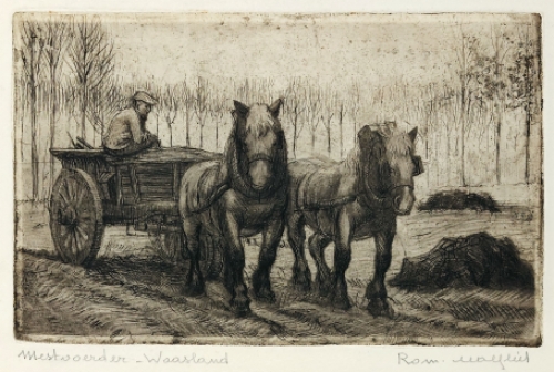 Mestvoerder, ets van Malfliet kopen