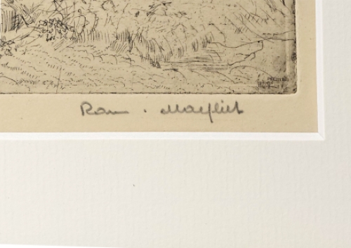 Molen te Ertvelde 7/50