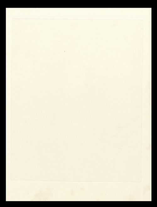 P. Verwilgenplein - Haasdonk 20/100