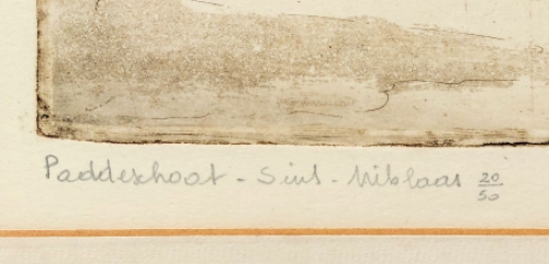 de Paddestraat te Sint Niklaas