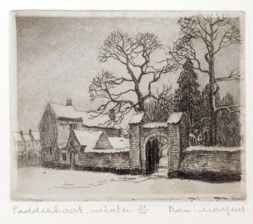 Sint-Niklaas Paddeschoot ets van Malfliet kopen