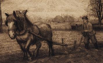 Romain Malfliet met een ets van een Brabants trekpaard