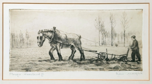 Ets van Romain Malfliet kopen