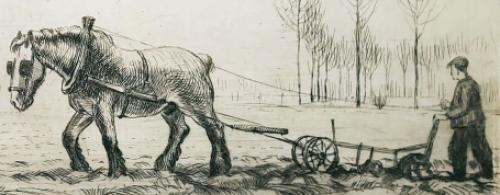 Belgische etser en tekenaar Romain Malfliet