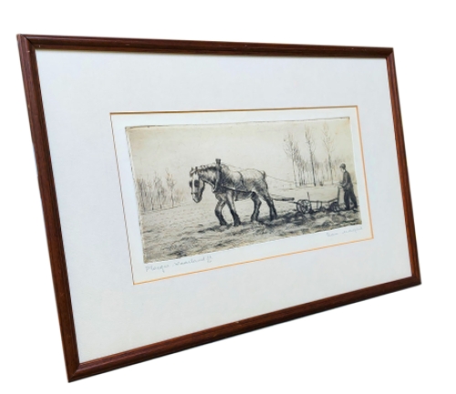 Ploeger Waasland 16/50