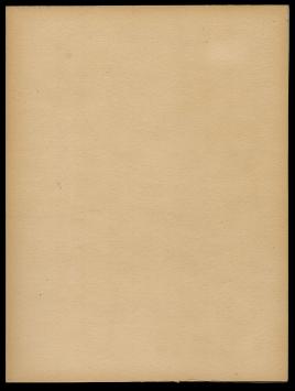 St Andriestoren Antw 21/50