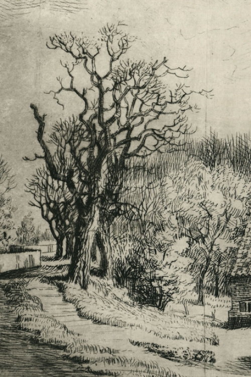 Belgische kunstenaar en etser Romain Malfliet