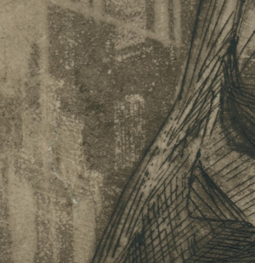 Steenkapper - Antwerpen 8/100