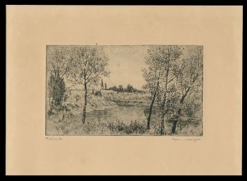 Ets van Romain Malfliet kopen, Tielrode