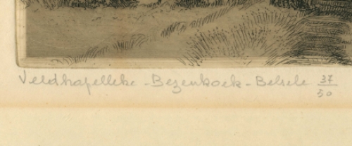 De Bezenhoek te Belsele