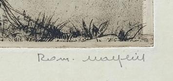 Kruisnetvisser - vernis mou - Durme 10/50