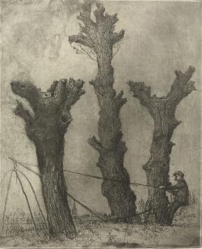 Genummerde ets van Malfliet kopen, Durmestreek