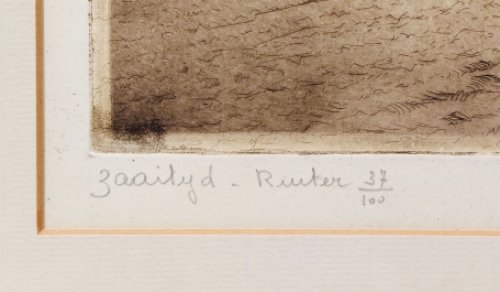 Zaaitijd - Ruiter 37/100