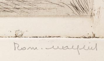 Zeeldraaier - Hamme 8/50