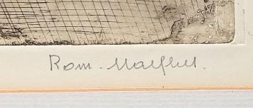 Zicht op St Niklaas - Berkenboom 8/50