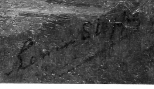 Regenachtig weer van Romain Steppe