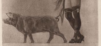 Pornocrates La dame au cochon 1905 Exsteens 982