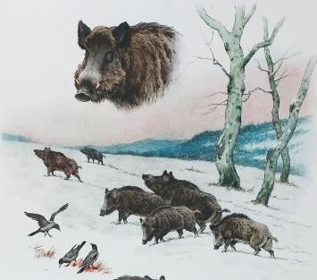 Dieren uitgewerkt door Georges-Frédéric Rötig