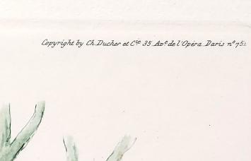 Everzwijnen in de natuur