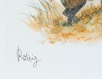 Everzwijnen in de natuur