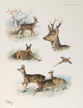 Georges-Frédéric Rötig  met een grafisch werkje