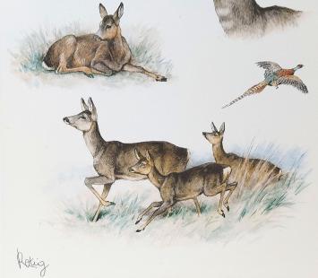 Dieren uitgewerkt door Georges-Frédéric Rötig